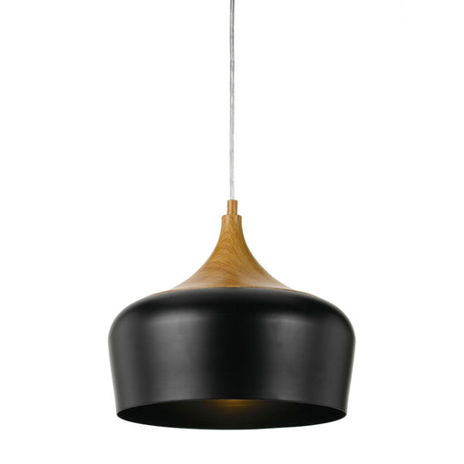 polk-30cm-pendant_POLK PE30-BZB